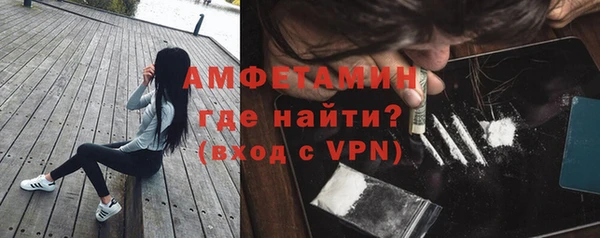 индика Киреевск